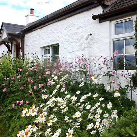 Tornaroan Cottage Ballycastle Eksteriør billede