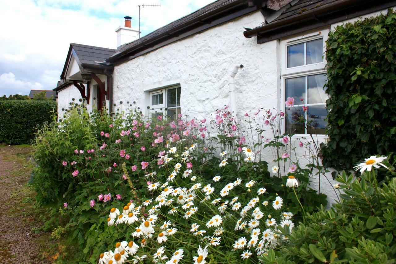 Tornaroan Cottage Ballycastle Eksteriør billede